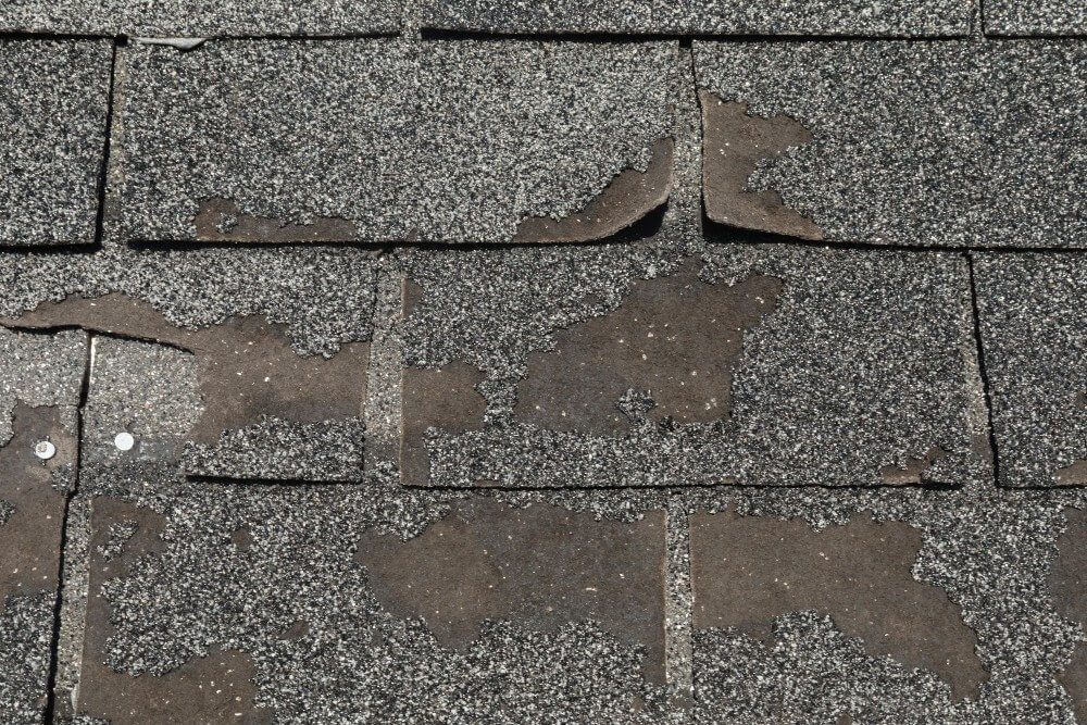 Curling shingles