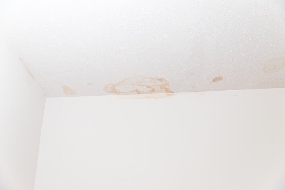 Water stains on roof